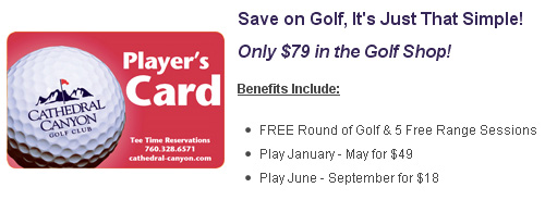 Newly Improved - Great Discount