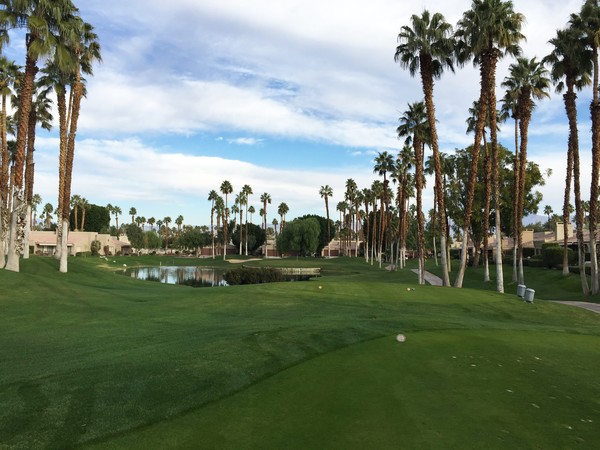 Palm Valley Country Club (Championship) Details and Information in ...